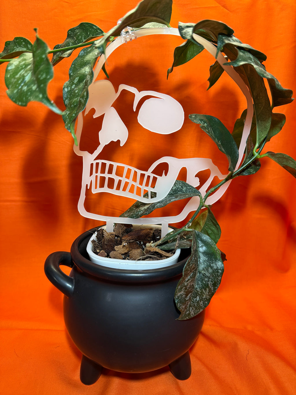Skull Trellis (Limited Edition)
